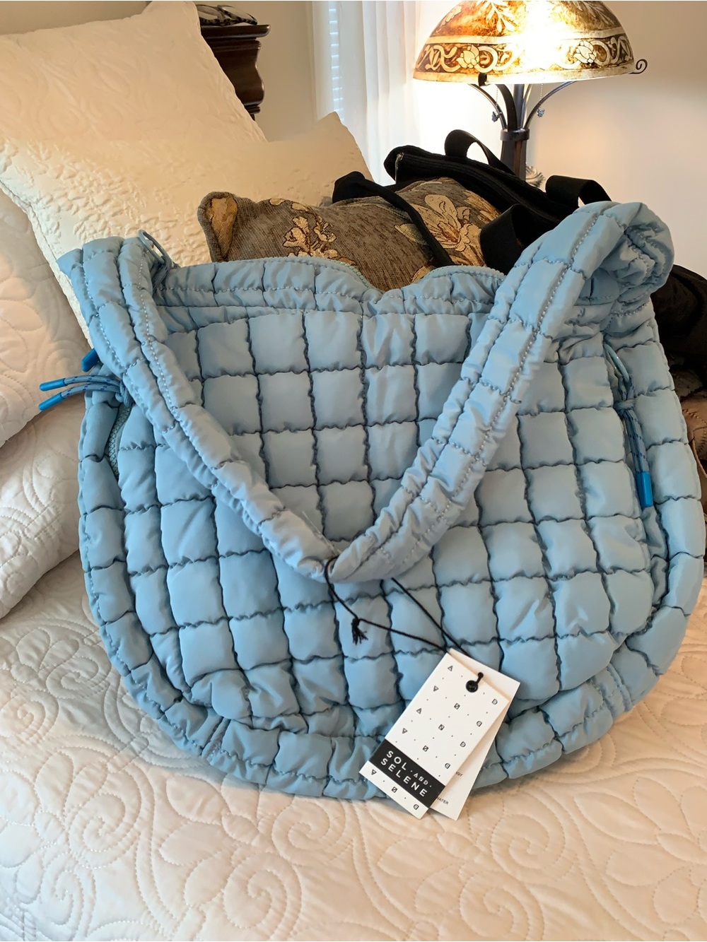 SOLE AND SELENE REVIVE SKY BLUE HOBO BAG